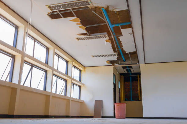 Best Professional water damage repair  in Humboldt, TN