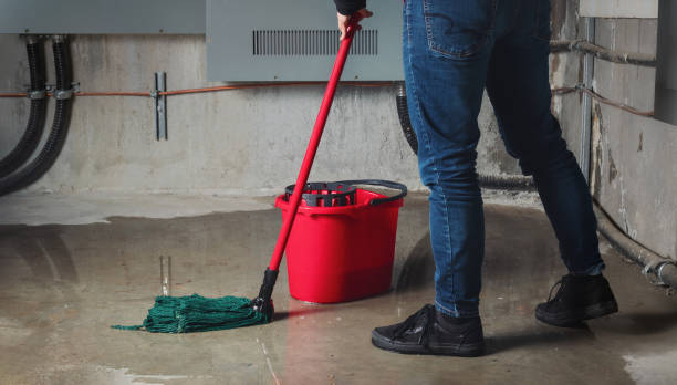 Best Water damage restoration specialists  in Humboldt, TN