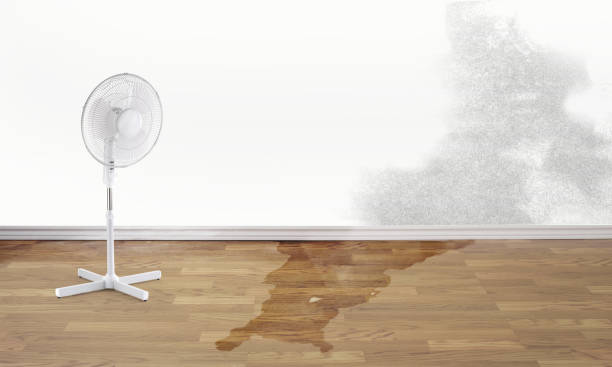 Best Local water damage restoration  in Humboldt, TN